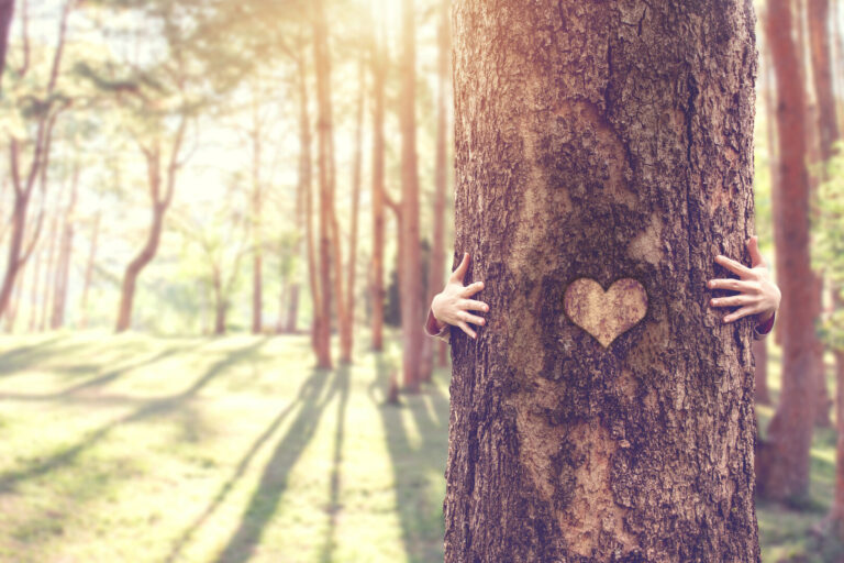 Closeup hands of woman hugging tree with heart, copy space.